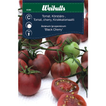 Cherrytomat 'Black cherry'